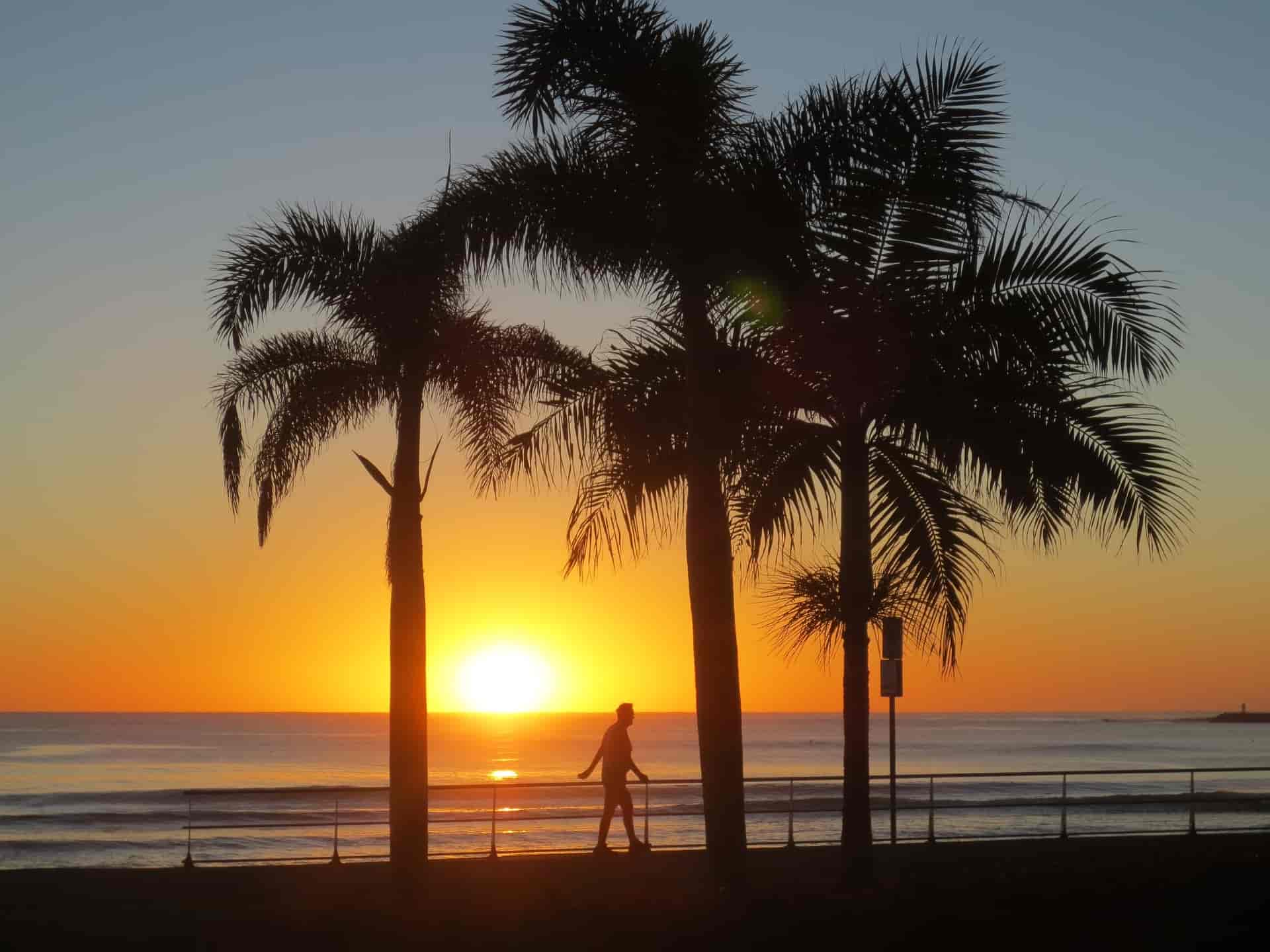 Brisbane to Airlie Beach road trip - typical view of sunset, beach and palmtrees