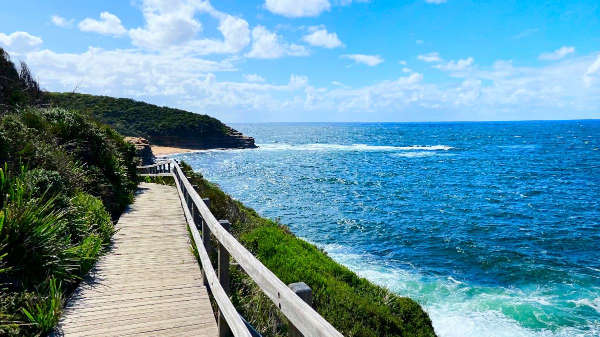 Bouddi Coastal Walk Bouddi NSW by Sarah Berriman