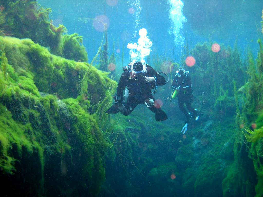 Cave diving at Piccaninnie Ponds Conservation Park by mark_whatmough