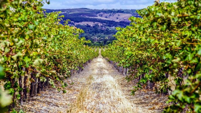 Farm work in Queensland James dimas