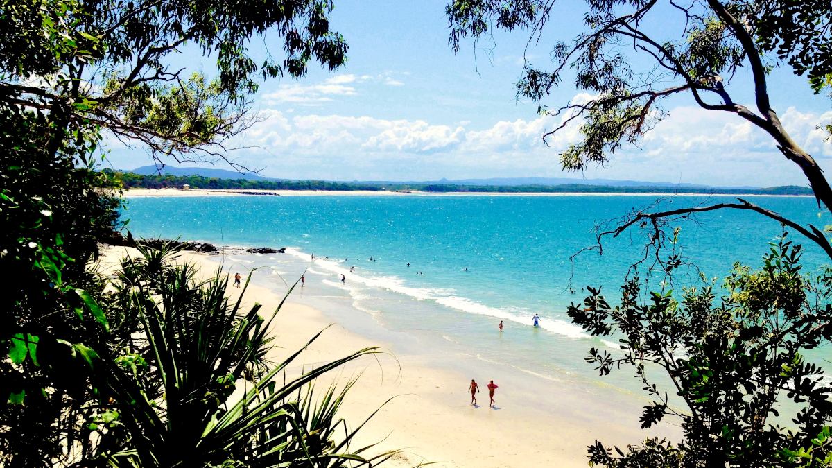 View of Little Cove Road - beach &amp;amp;amp;amp;amp;amp;amp;amp;amp;amp;amp;amp;amp;amp;amp;amp;amp;amp;amp;amp;amp;amp;amp;amp;amp;amp;amp;amp;amp;amp;amp;amp;amp;amp;amp;amp;amp;amp;amp;amp;amp;amp;amp;amp;amp;amp;amp; ocen view - in Noosa Heads in Australia