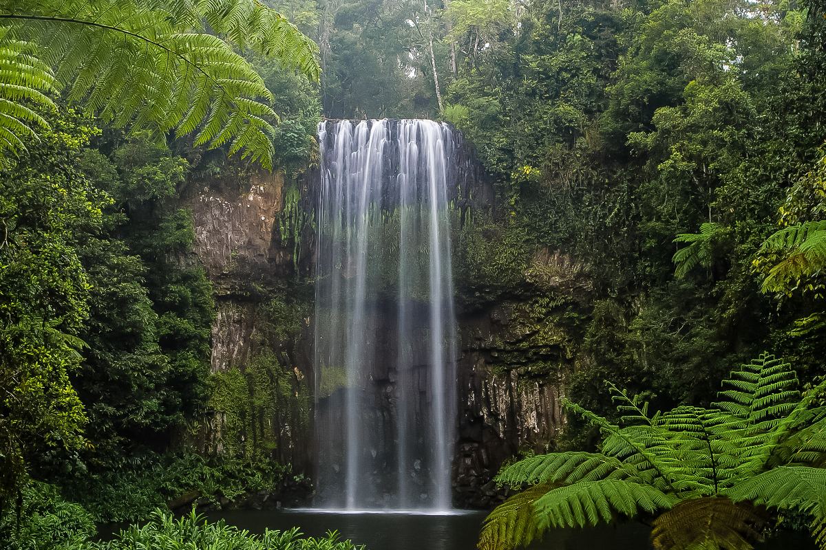 Millaa Millaa Falls Atherton | photo: Peter Nijenhuis (CC BY NC ND 2.0)