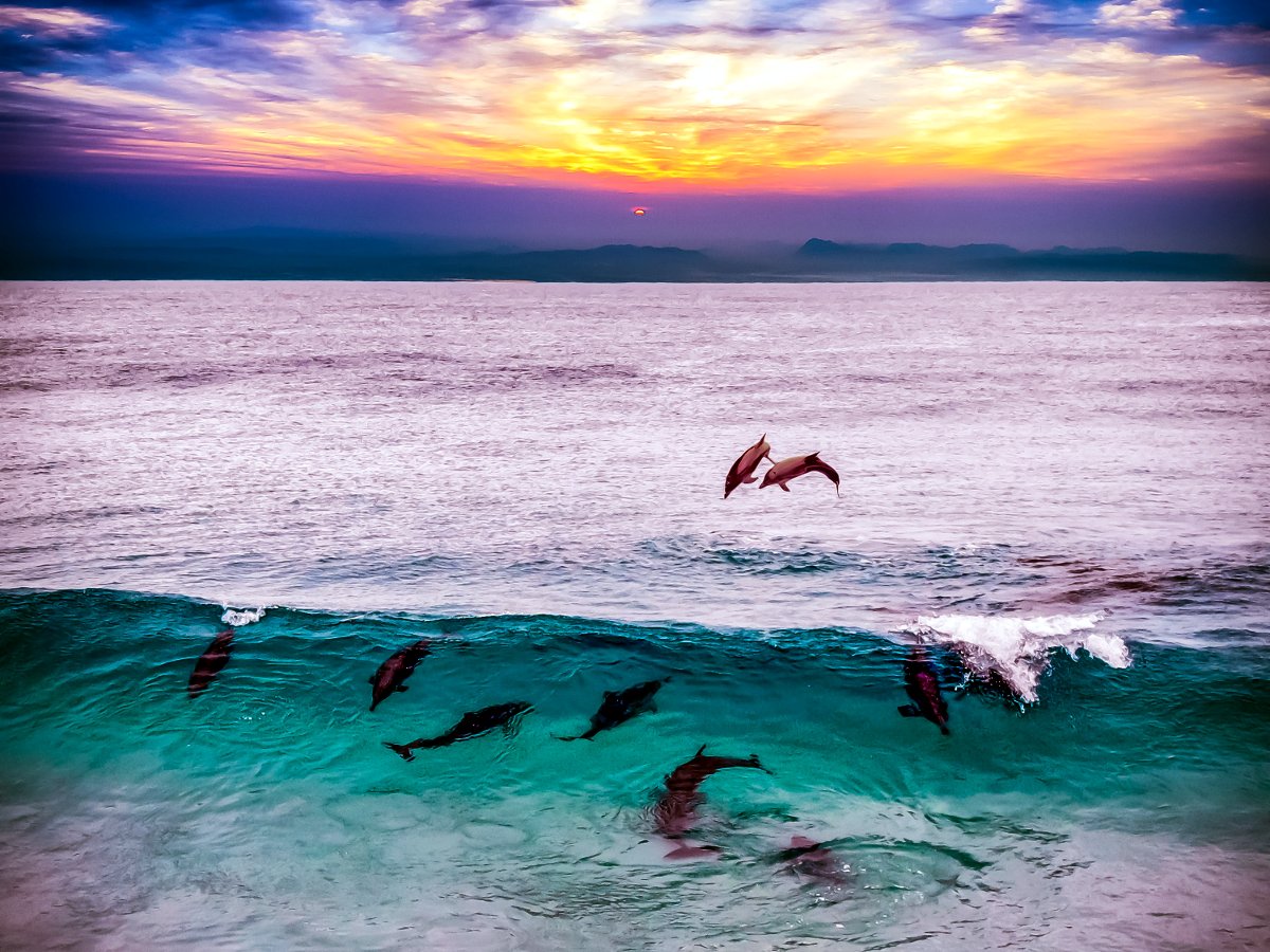 Play time at dusk at Fraser Island | photo: Nick Dunn