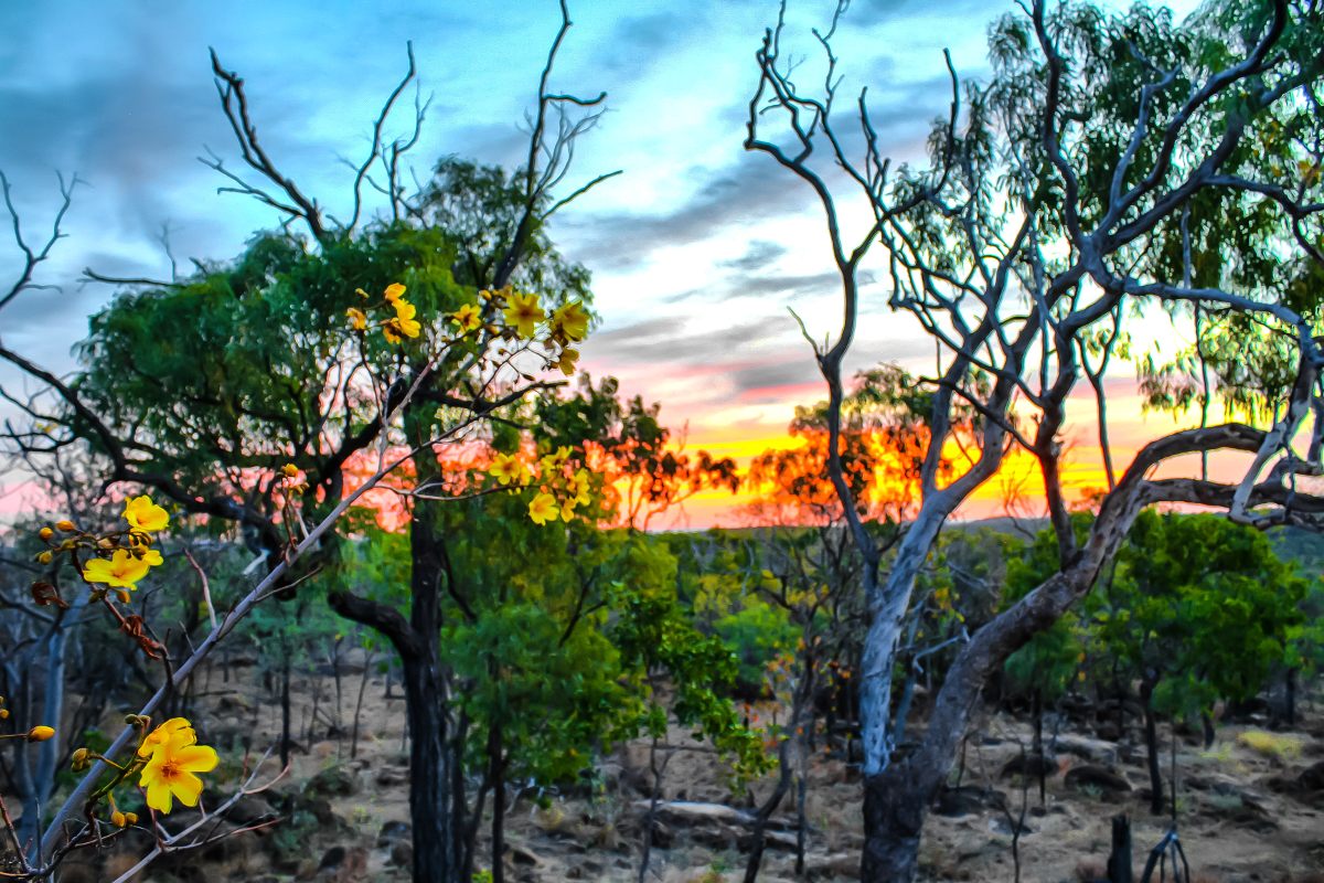 Undara Sunset | photo: Rob and Stephanie Levy (CC BY 2.0)