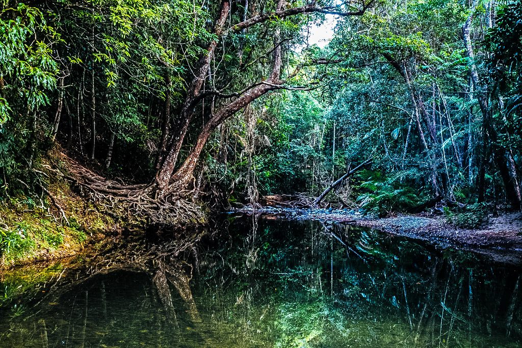 Masons Swimming Hole